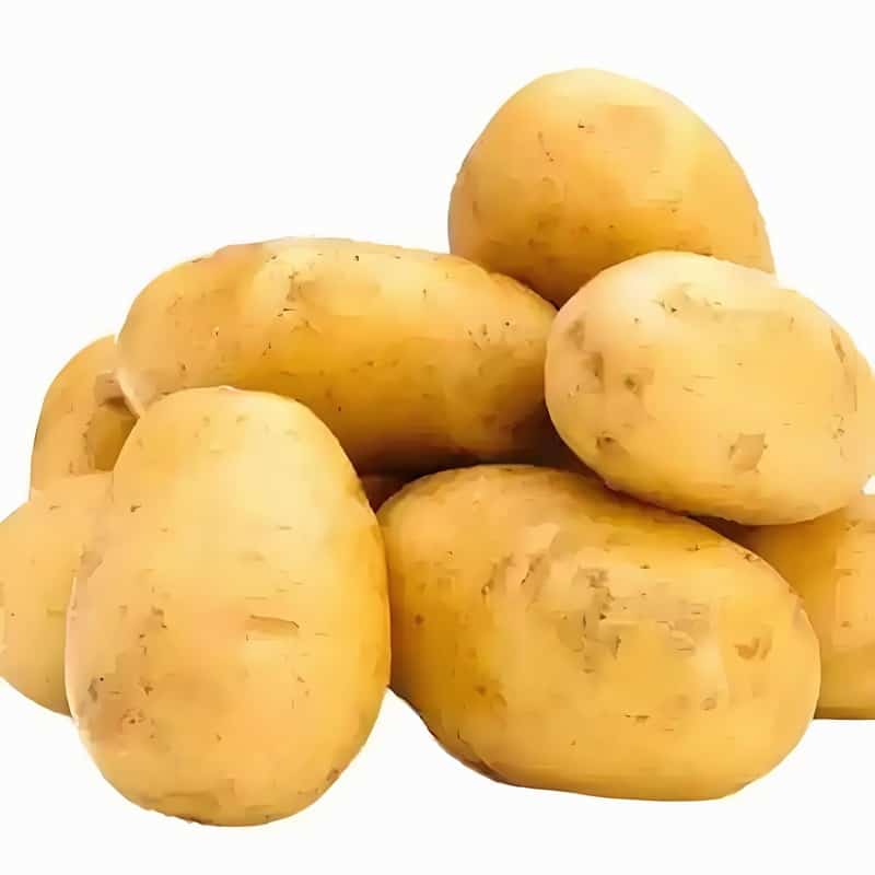 橙心配送蔬菜的app